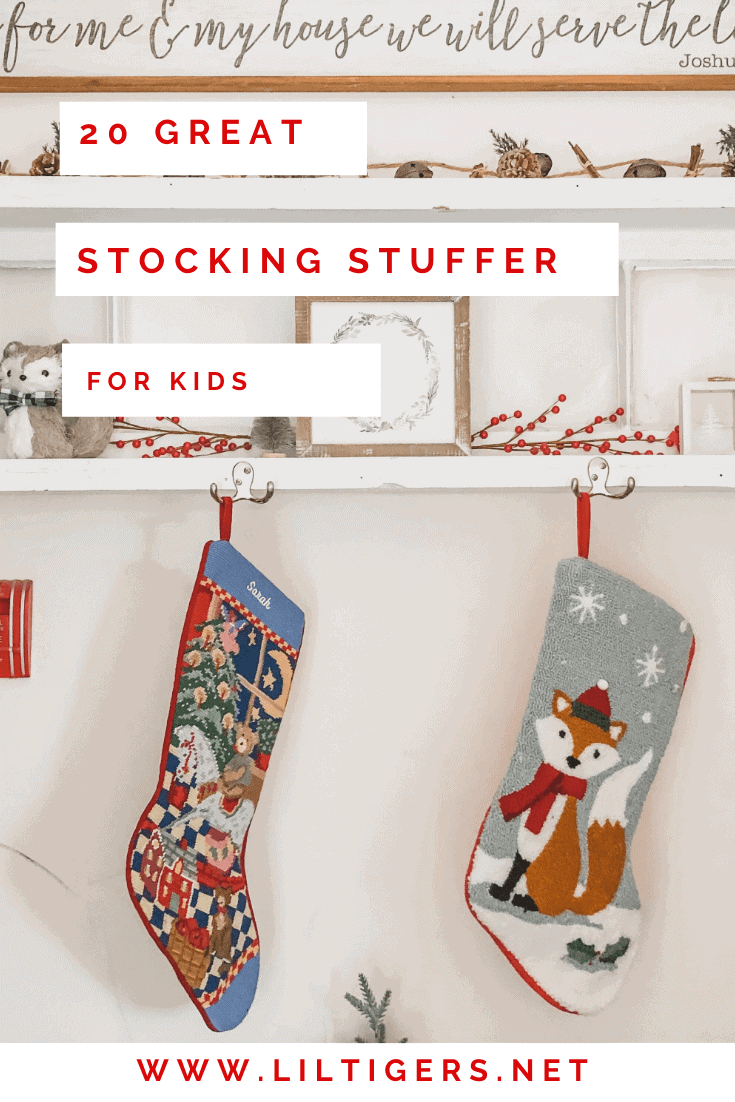 Kids Gift Guide 2022  Lil Tigers Best Gift Ideas for Kids