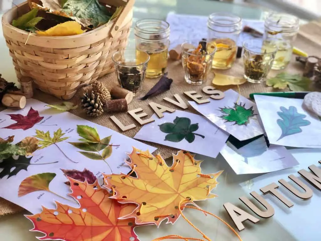 sensory table with changing leaves