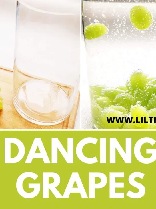 DANCING grapes experiments