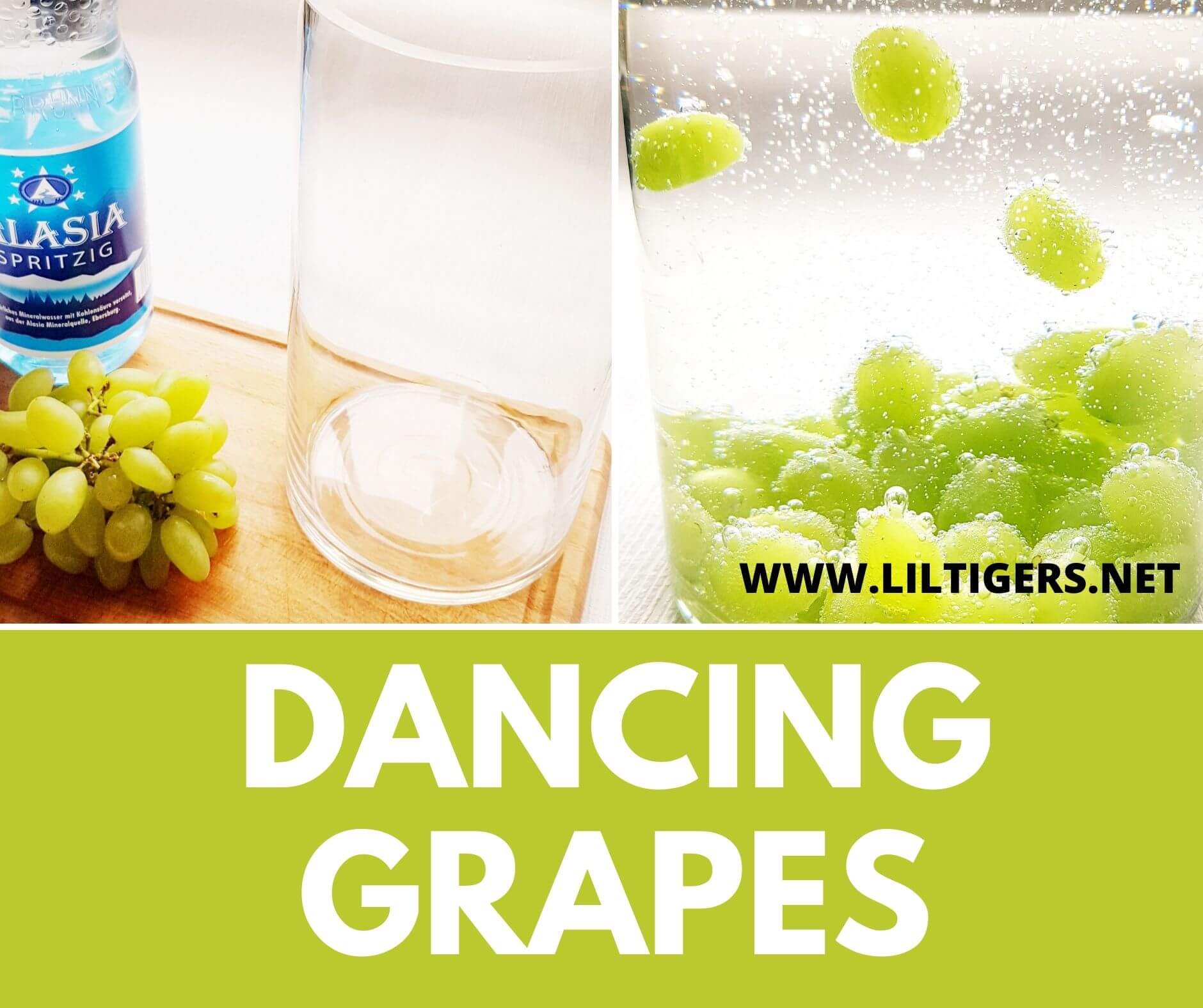 DANCING grapes experiments