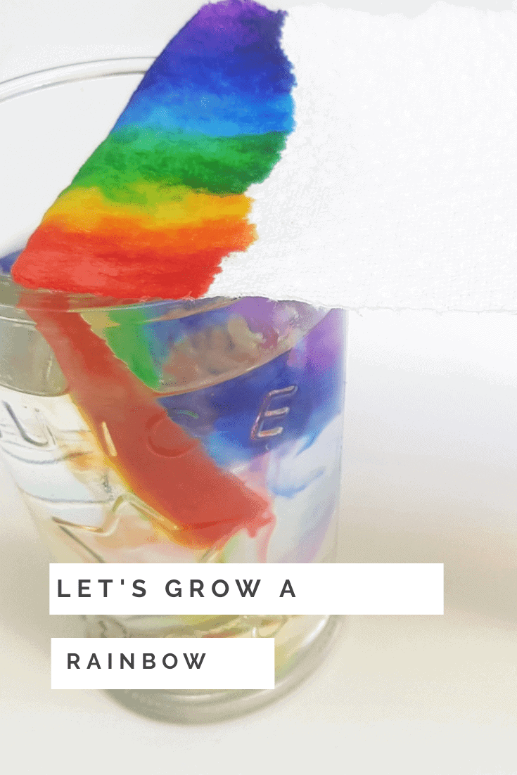 grow a rainbow paper towel experiment