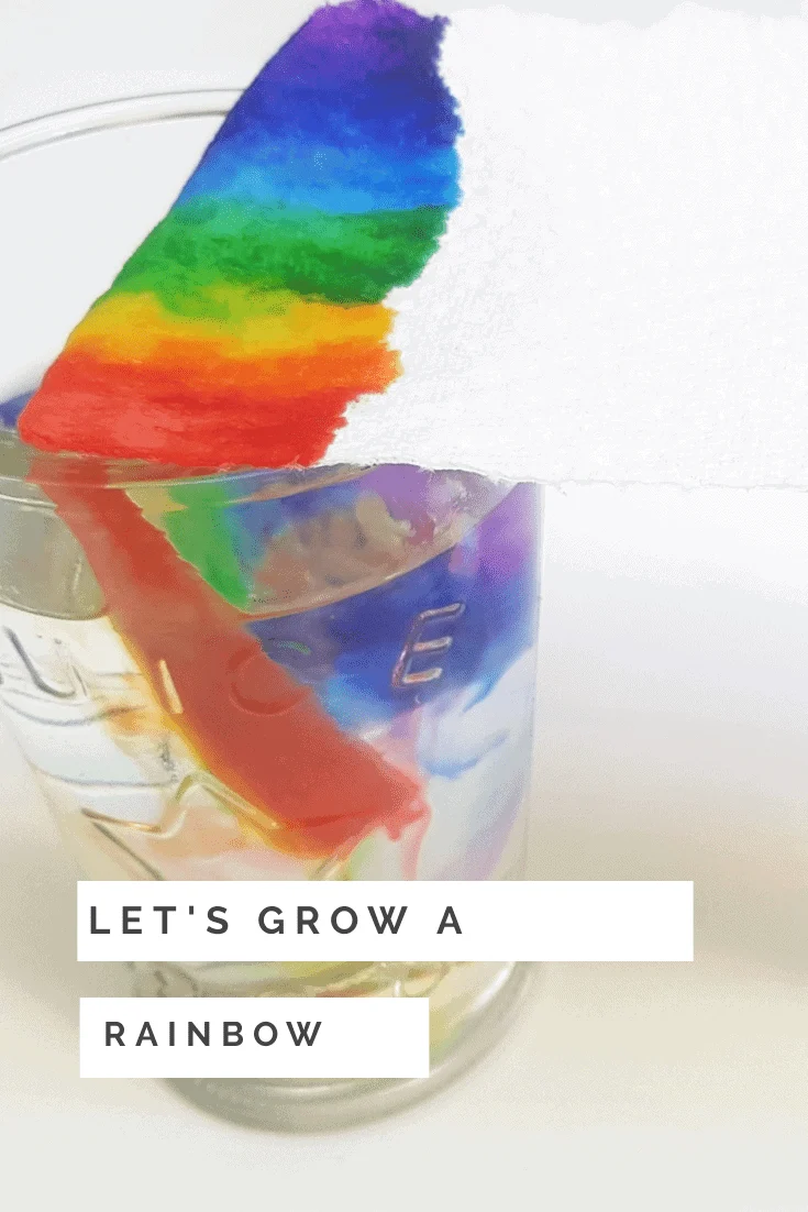 grow a rainbow paper towel experiment