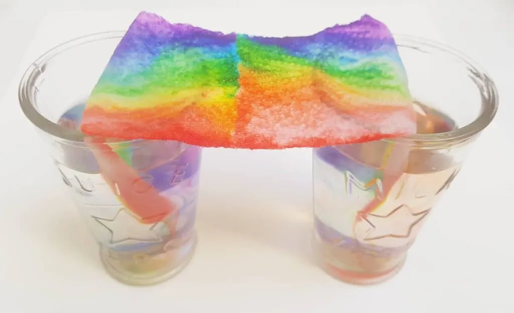 grow a rainbow science experiment