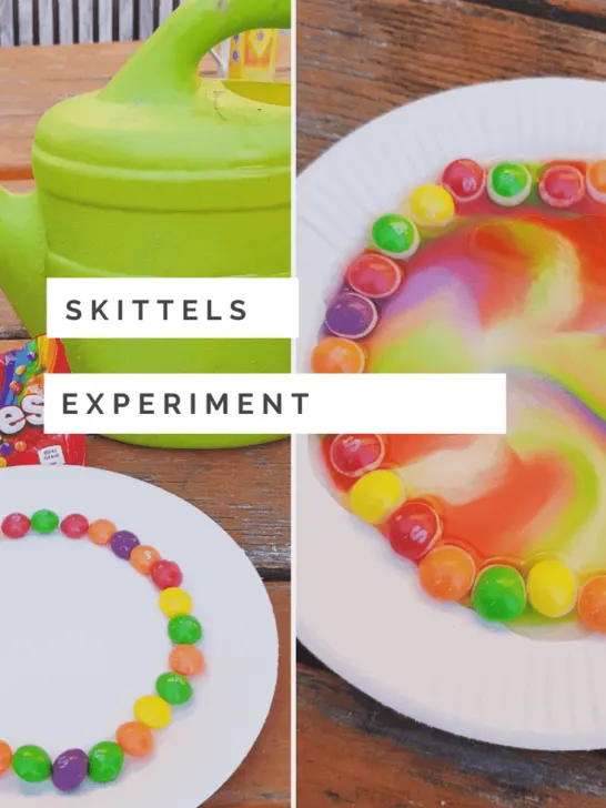 skittle science experiment