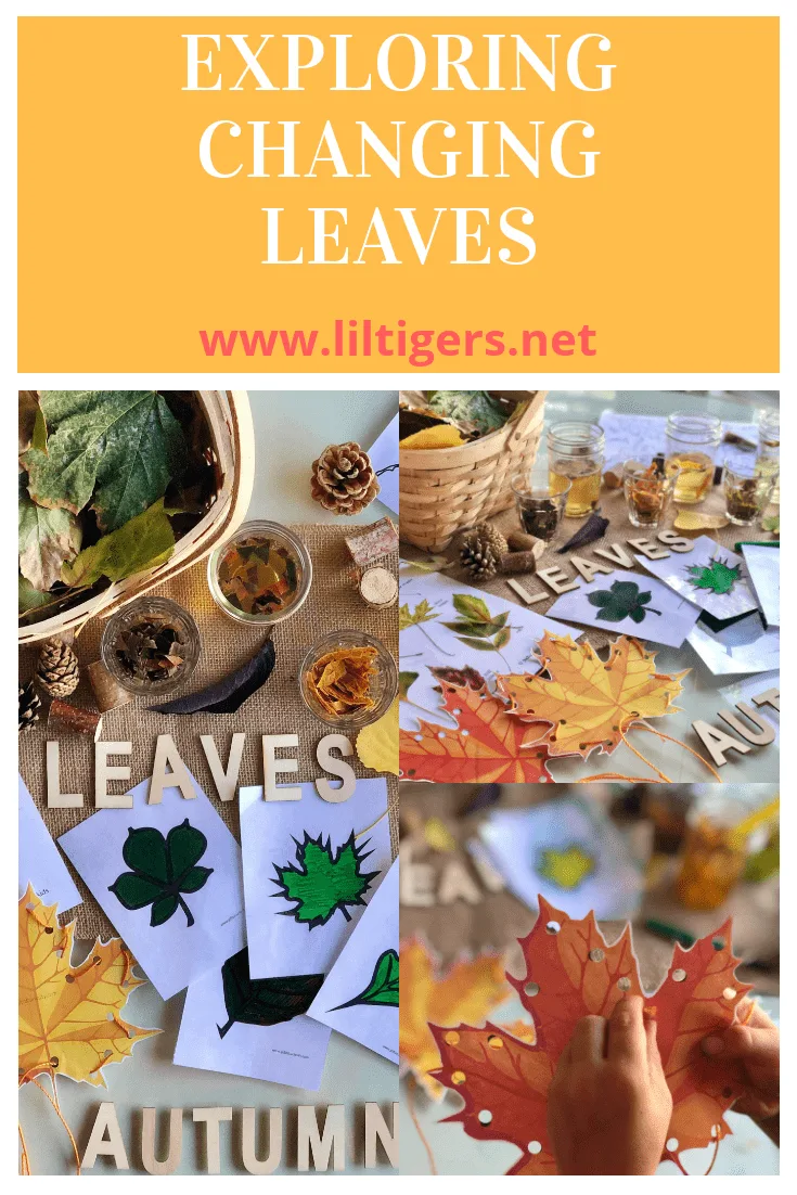 changing leaves activities for kids