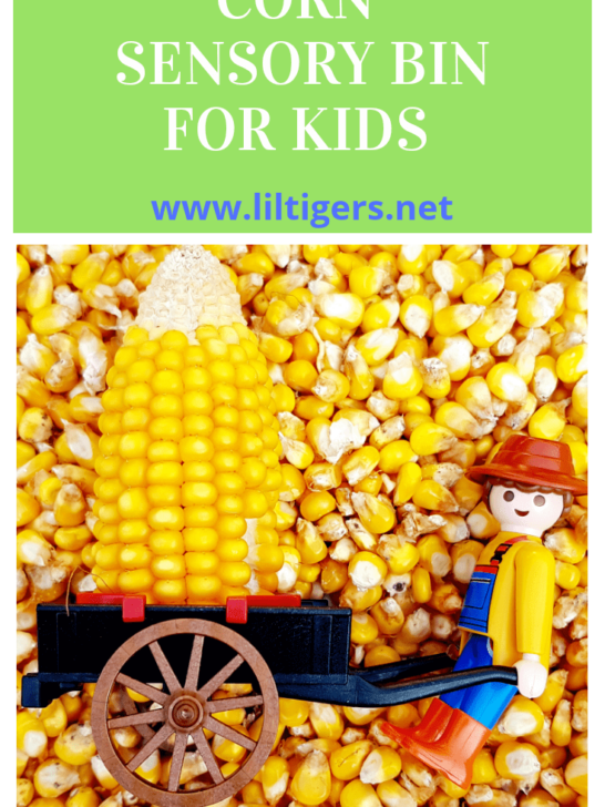corn sensory bin for kids