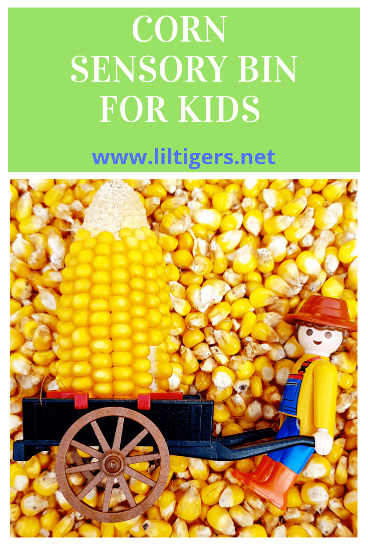 corn sensory bin for kids