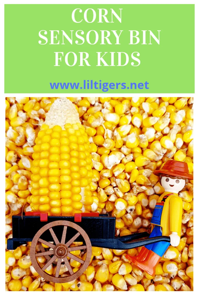 Corn Sensory Bin for Kids - Fun on the Farm