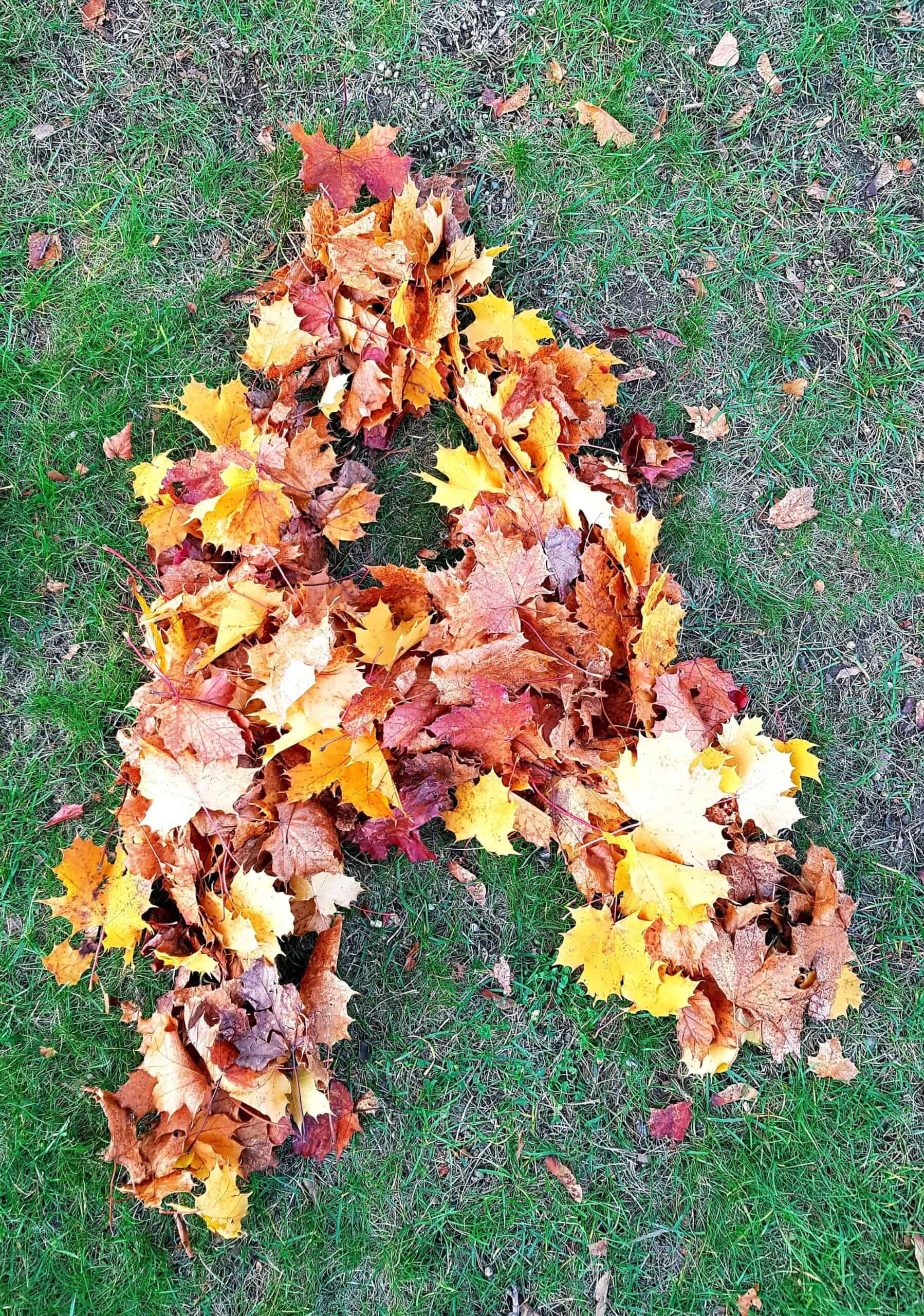 build letters with leaves