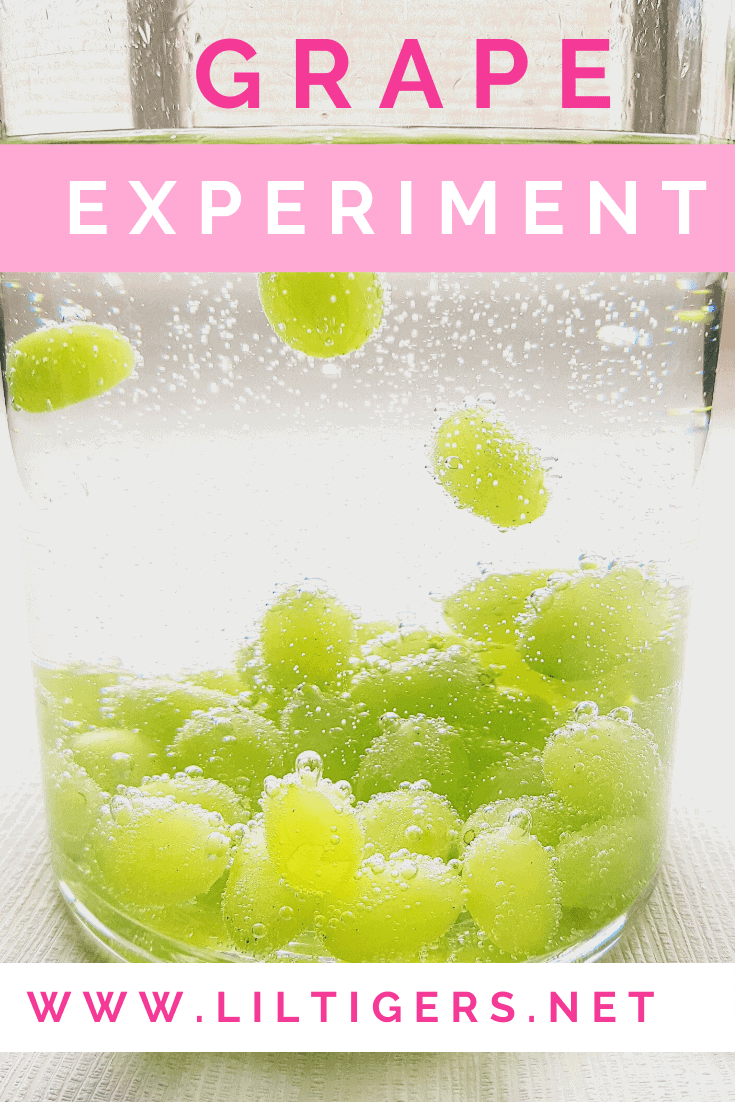 dancing grape experiment for kids