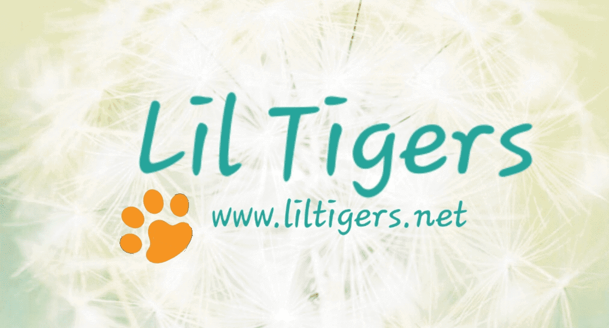 Lil Tigers from www.liltigers.net