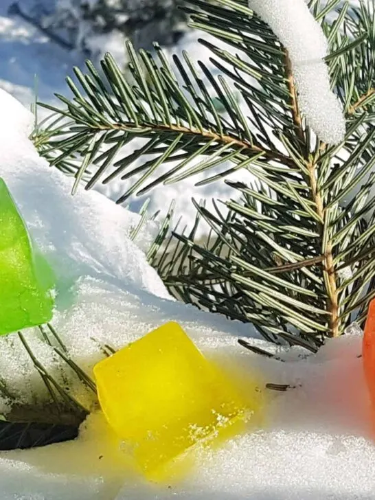 winter scavenger hunt with colored ice cubes