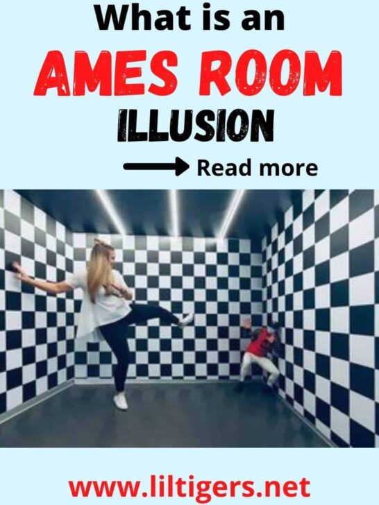 Ames Room Illusion - Optical Illusion