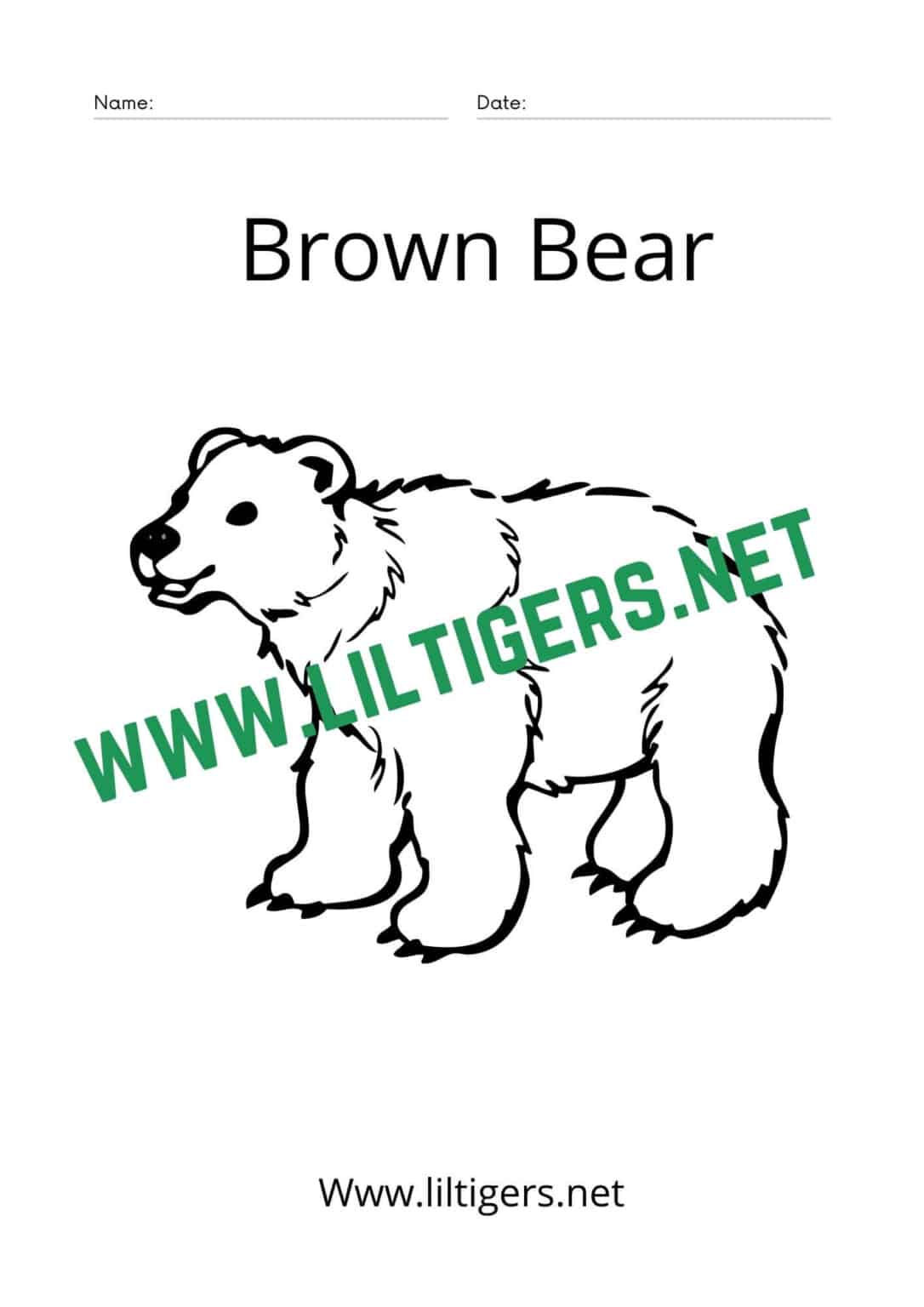 Free Printable Brown Bear Brown Bear Coloring Pages Lil Tigers Lil Tigers