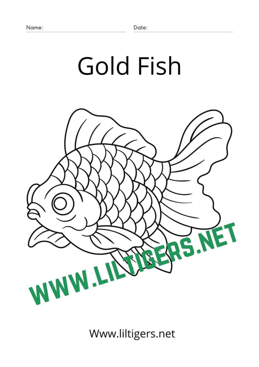 Free Printable Brown Bear Brown Bear Coloring Pages - Lil Tigers Lil Tigers