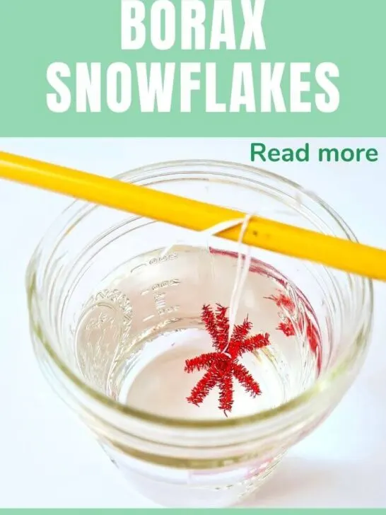 Borax Crystal Snowflakes