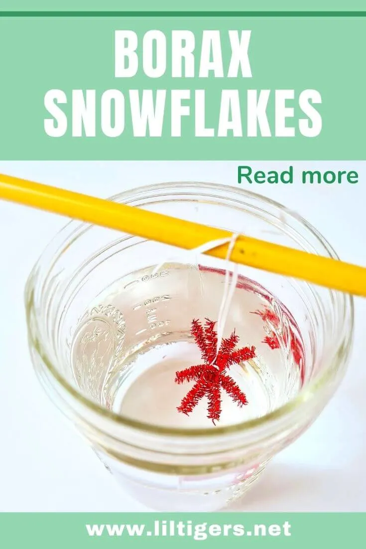 Borax Crystal Snowflakes