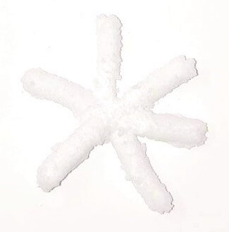 How to Make Borax Crystal Snowflakes