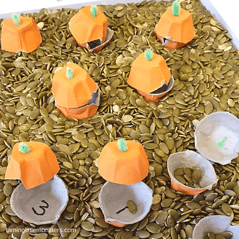 Pumpkin Seeds Sensory Bin