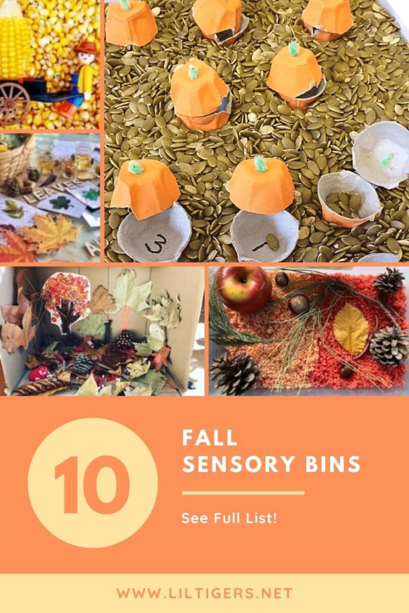 10 Easy Fall Sensory Bin Ideas for Preschoolers and Toddlers!