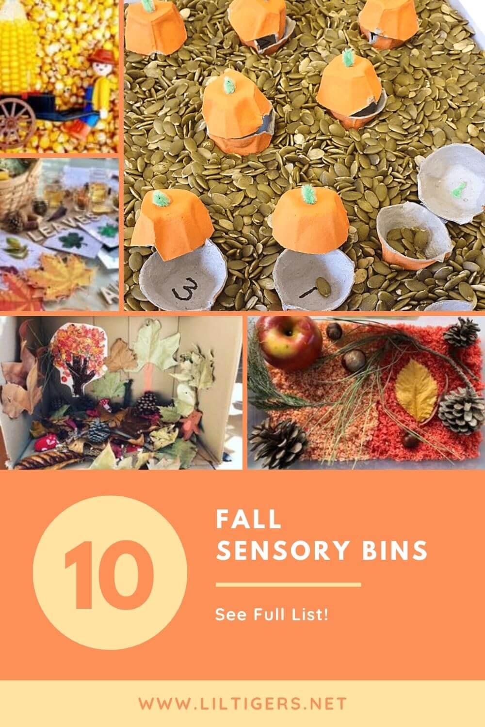 Fall Sensory Bin Ideas for Toddler and Preschoolers