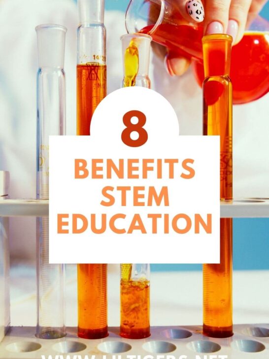 Top 8 Benefits of STEM Education