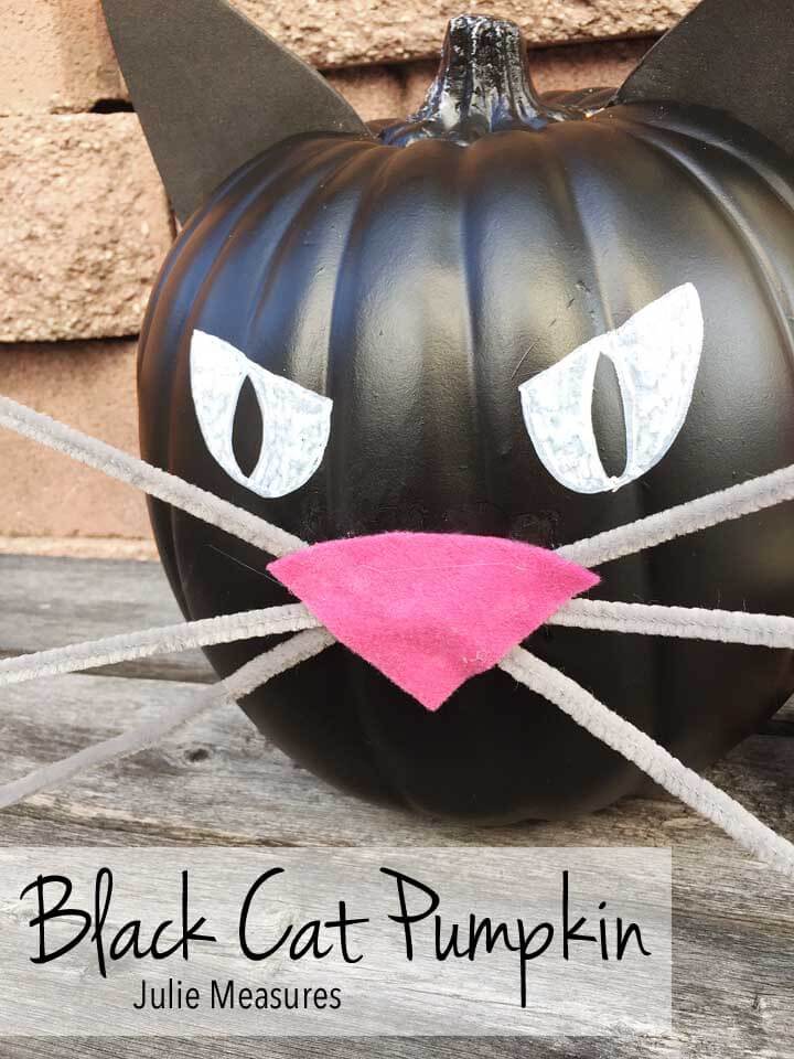 Black cat pumpkin