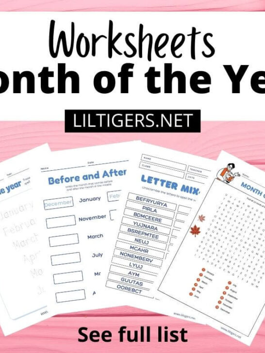 month of the year worksheets