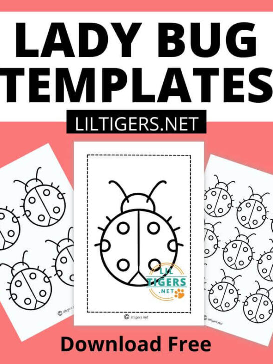 lady bug templates
