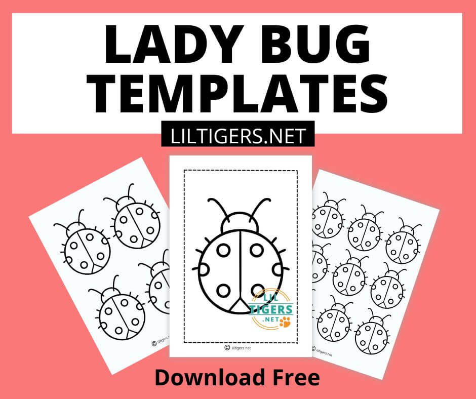 lady bug templates