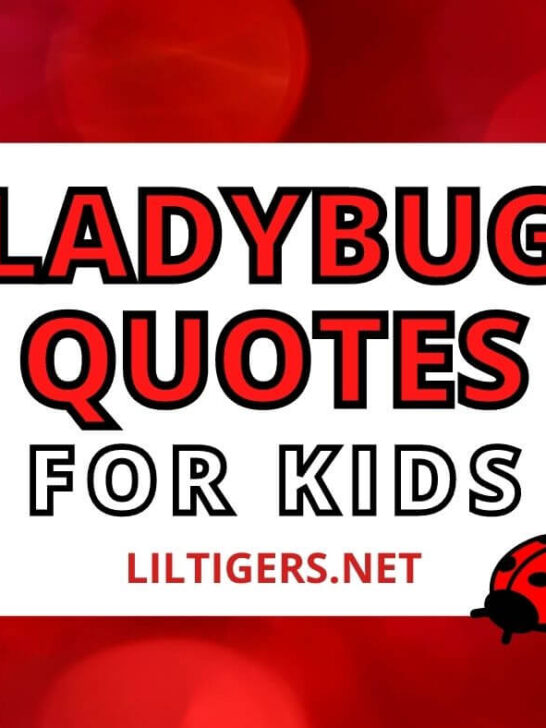 ladybug quotes for Kids