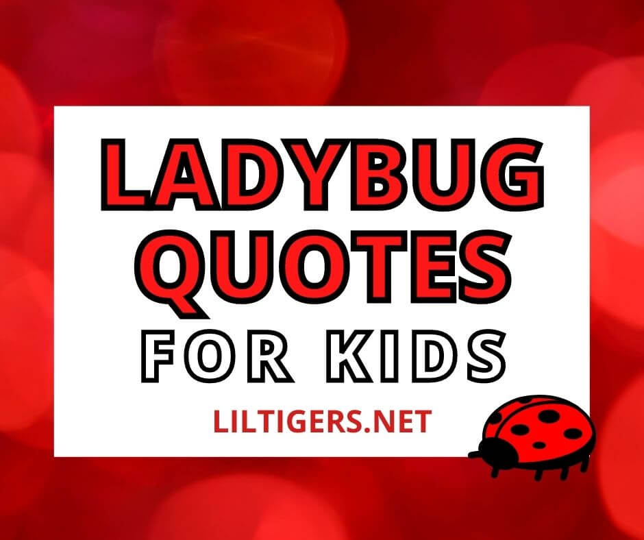 ladybug quotes for Kids