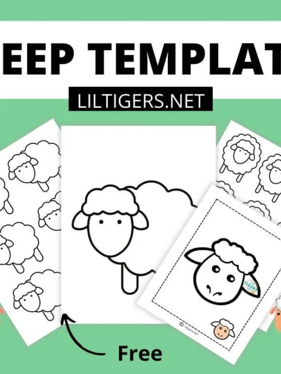 free printable sheep templates
