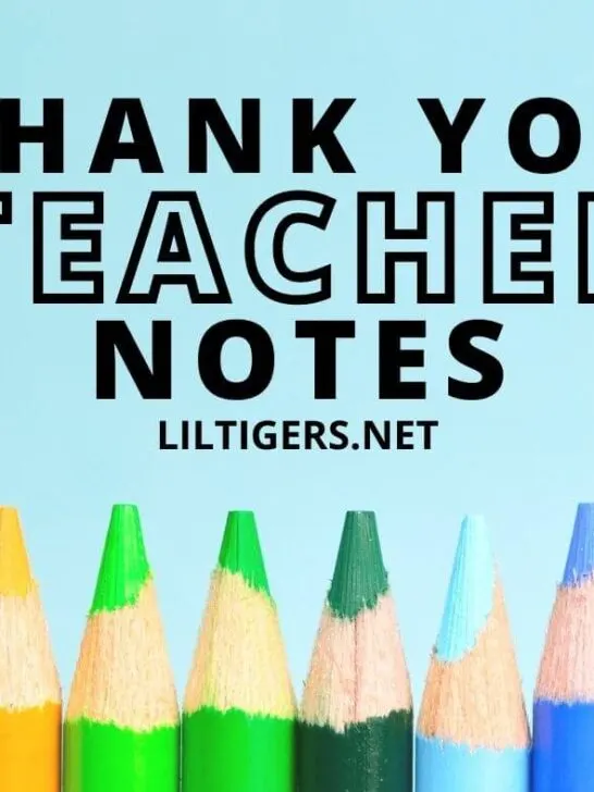 thank you notes to a teacher from students