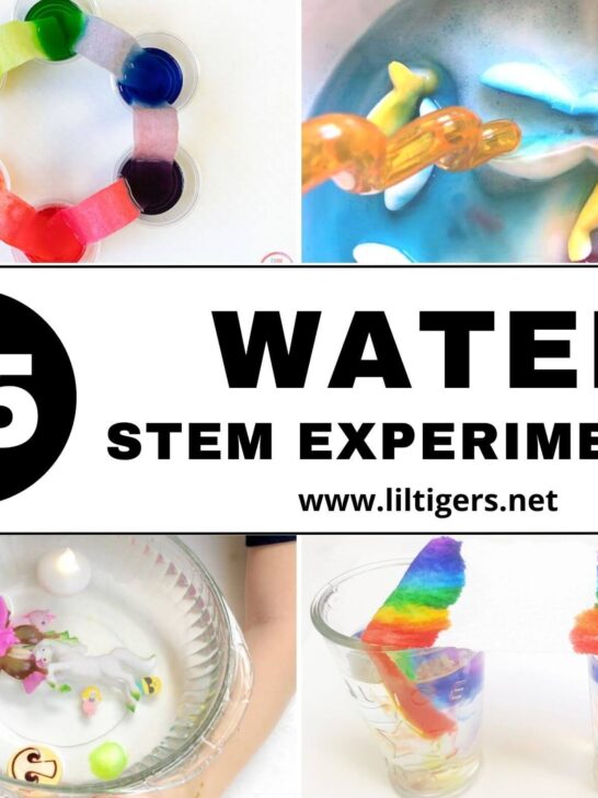 15 Easy Water Science Experiments for Kids