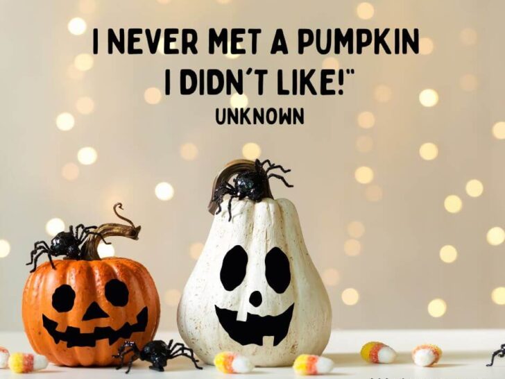 Funny Halloween Quotes