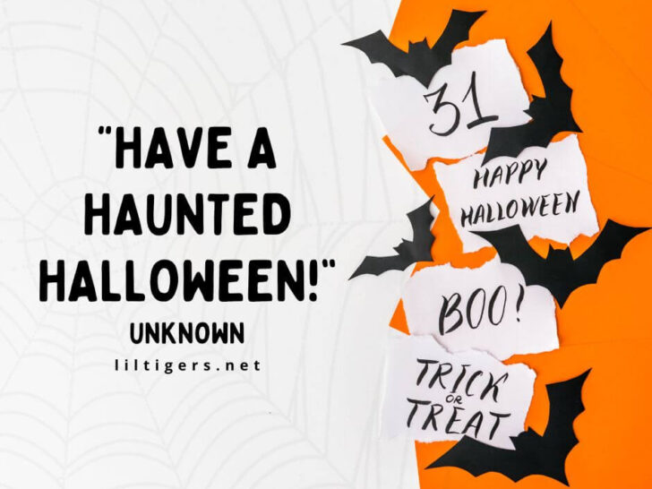 Spooky Halloween Quotes for Kids