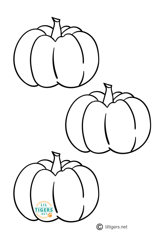 DIY Yarn Wrapped Pumpkin incl. Free Printable Pumpkin Template