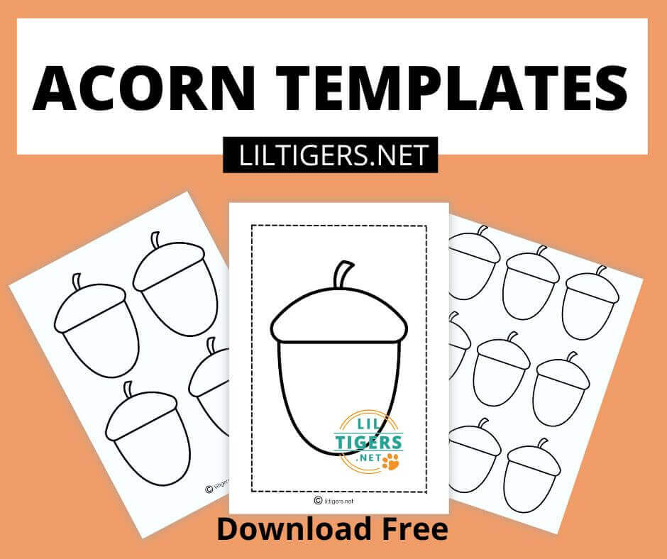free acorn templates printables