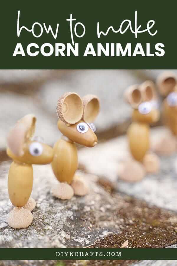 diy acorn animals