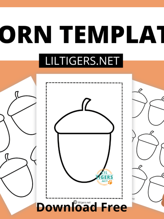 free acorn templates printables