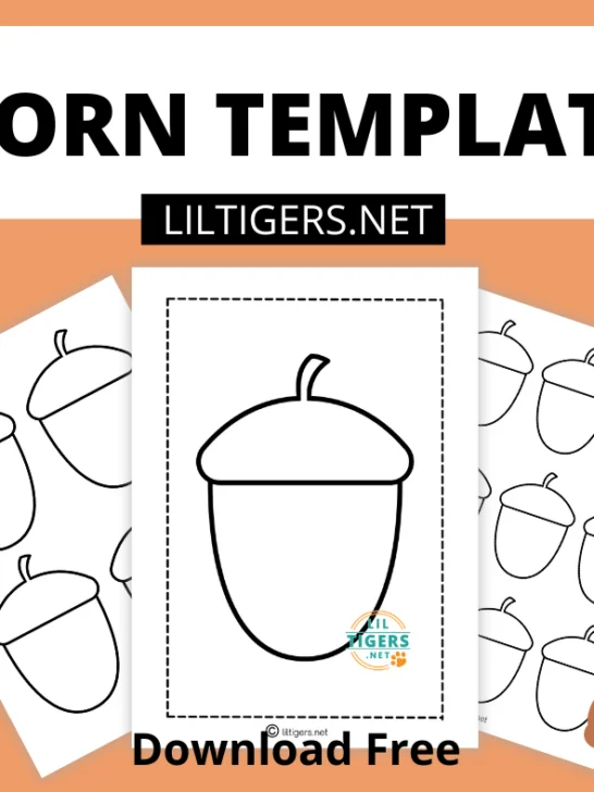 free acorn templates printables