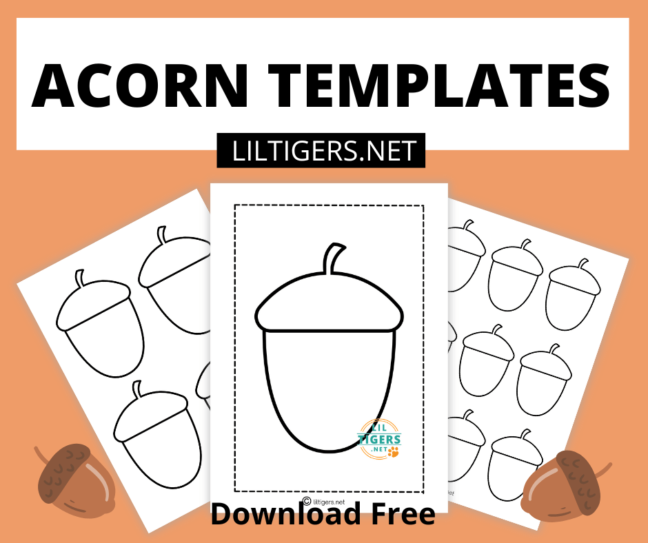 free-printable-acorn-templates-lil-tigers-lil-tigers