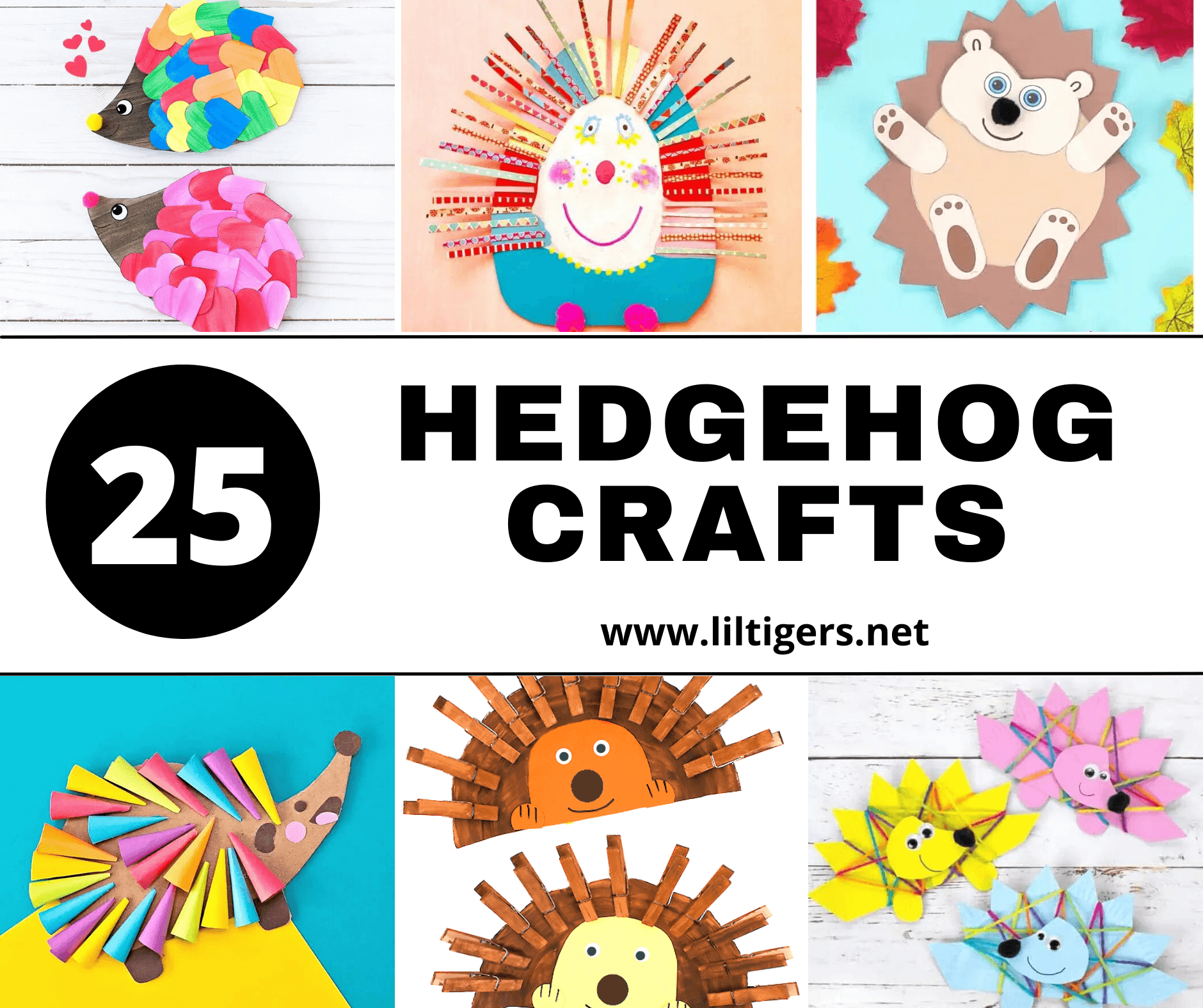 easy hedgehog craft for preschoolers