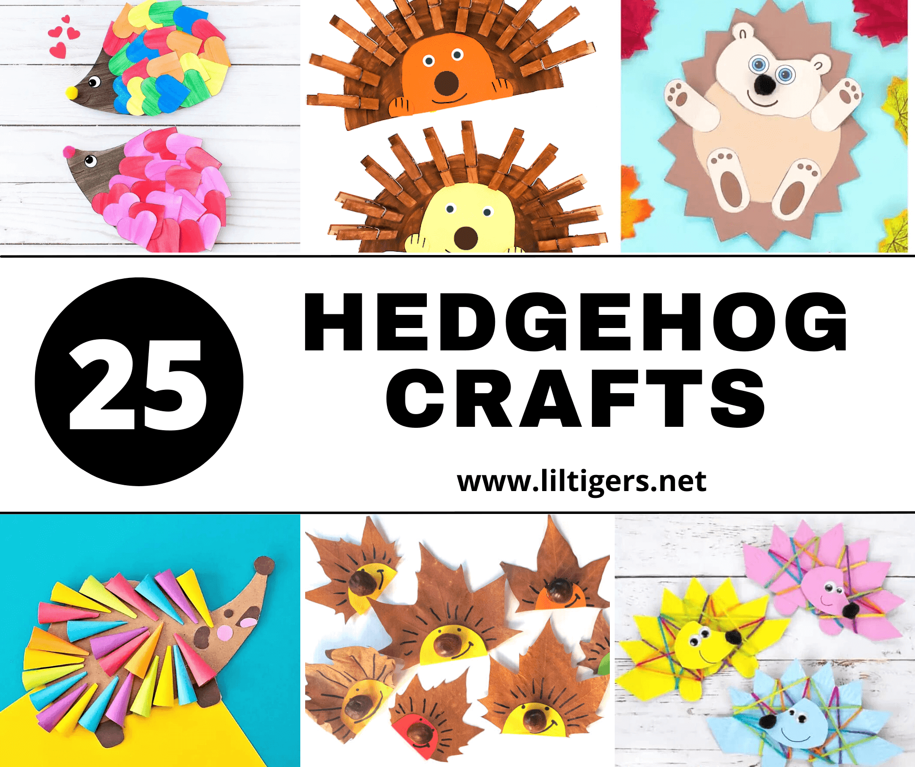 Simple hedgehog crafts for kids