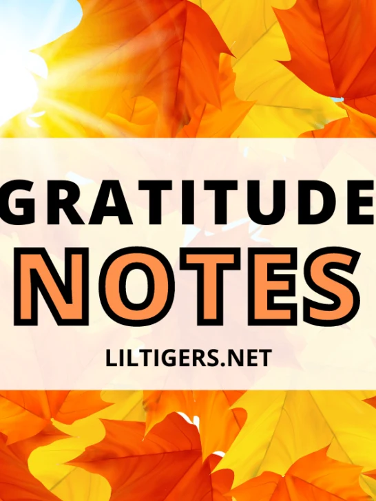 gratitude notes for kids