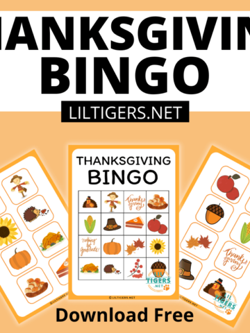 Winter Bingo Free Printable - Lil Tigers
