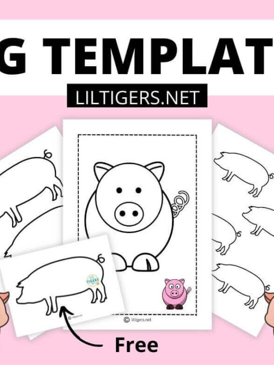 free printable pig templates