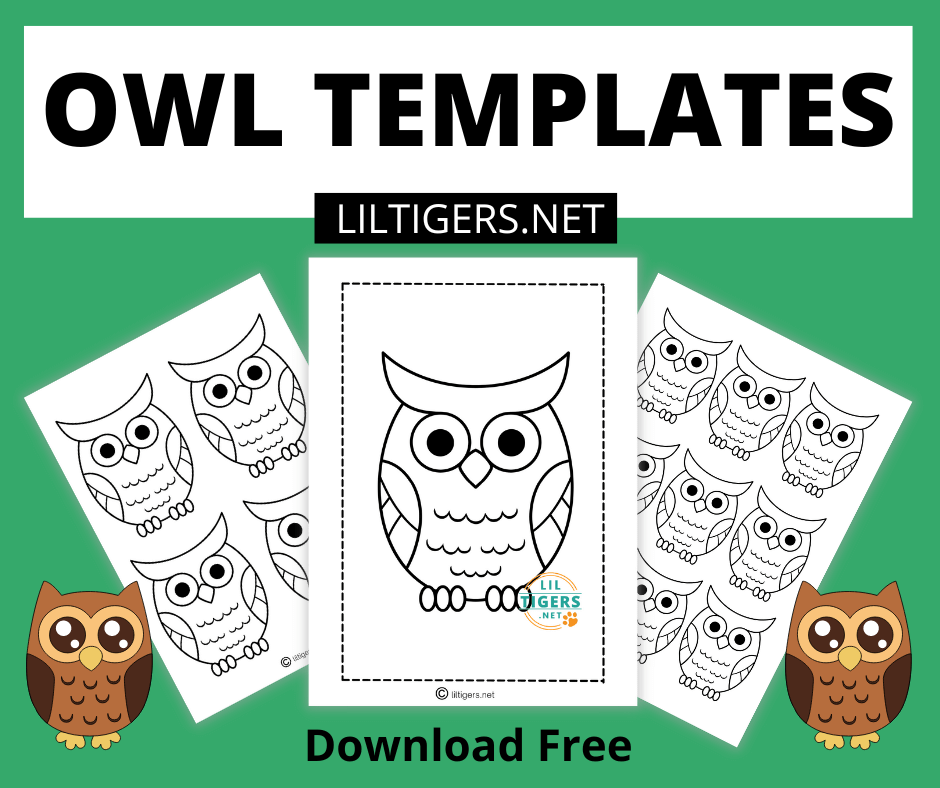 free printable owl templates