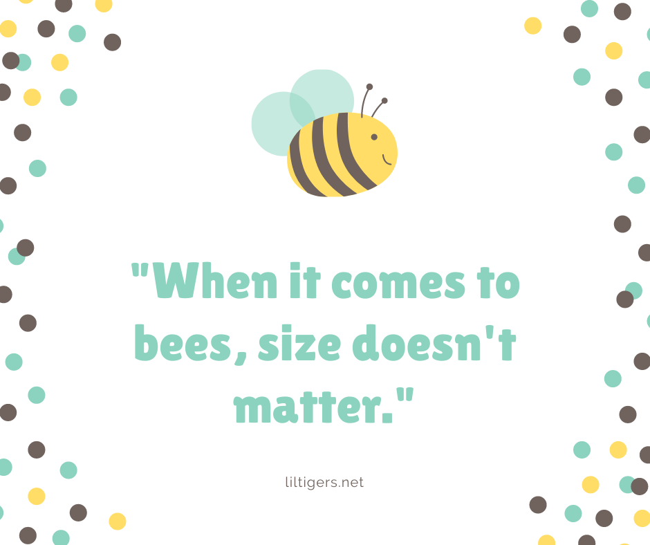 catchy bee phrases